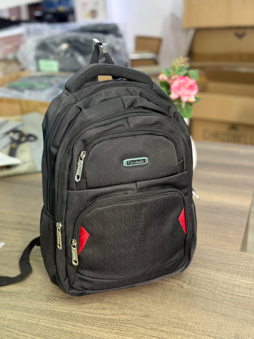 Chrisbella Multi-Compartment Backpack | Durable School, Work & Travel Backpack