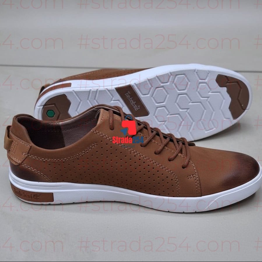 Premium Perforated Casual Leather Sneakers Collection_1C/BKY