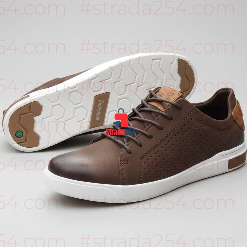Premium Perforated Casual Leather Sneakers Collection_1C/BKY